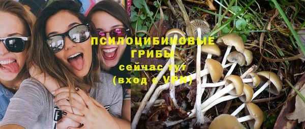 ешки Алзамай