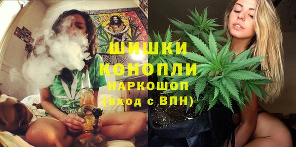 ешки Алзамай