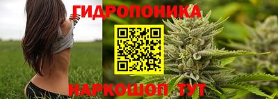 ALPHA PVP Владимир