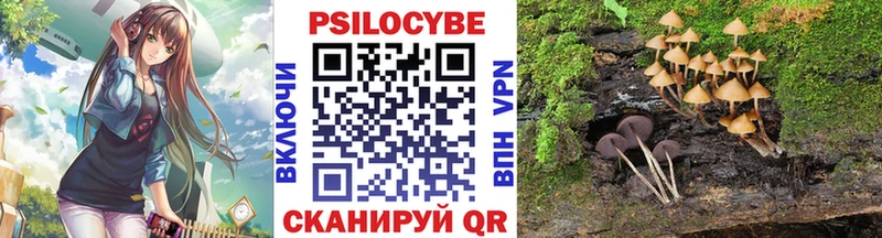 Псилоцибиновые грибы GOLDEN TEACHER  Губкин 