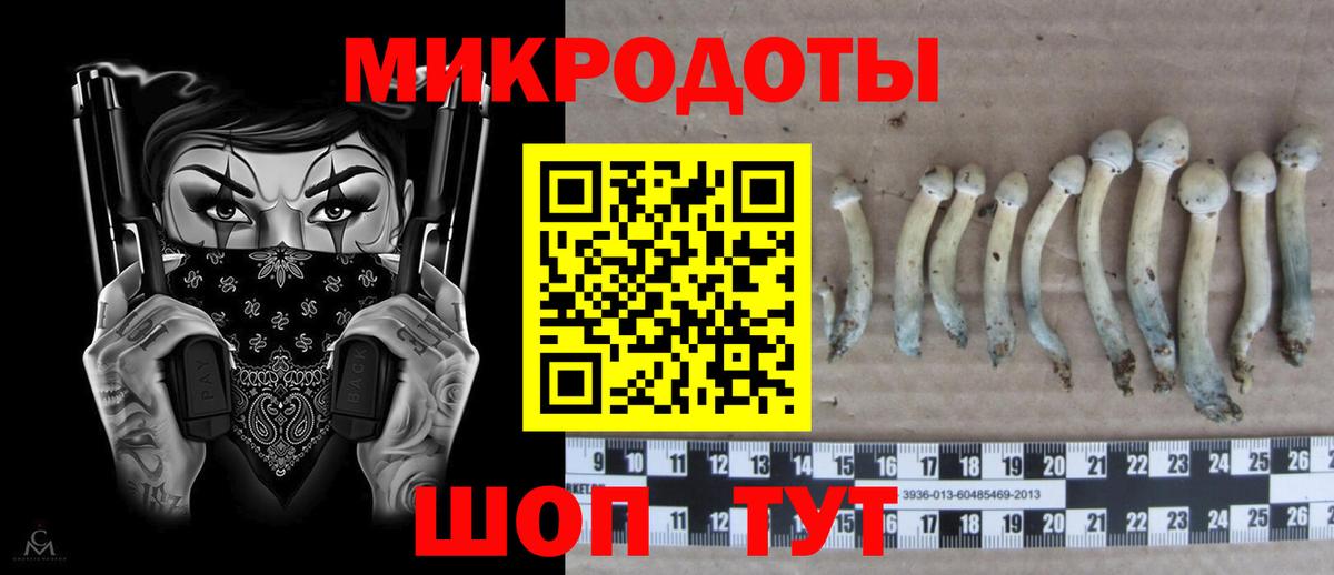 Псилоцибиновые грибы мухоморы  Вход с VPN  Губкин  Псилоцибиновые грибы MAGIC MUSHROOMS 